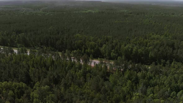 The Camera Flies Over a Pine Forest in the Direction of the Road. Aerial View 