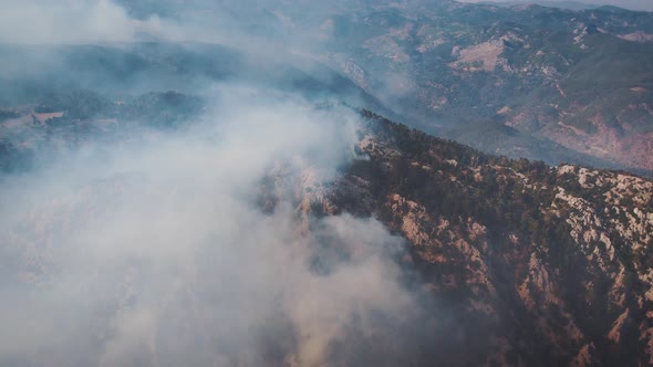 Aerial View Jungle Fire