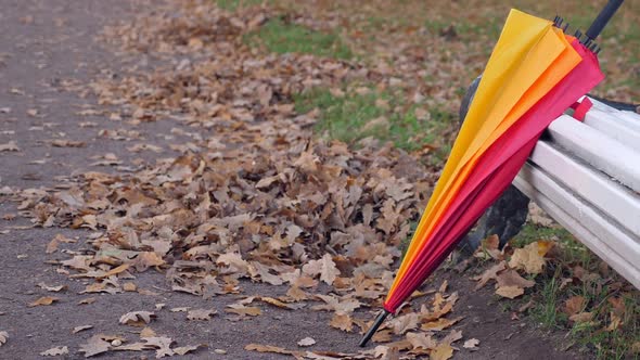 Umbrella Near Bench in Autumn Park