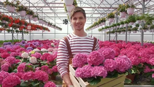 Portrait of a Smiling Florist Carries Flowers on a Tray in a Greenhouse