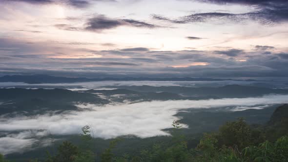 Atmosphere in the morning fog over the river.