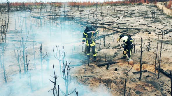 Firefighters are Extinguishing the Rest of the Forest Fire