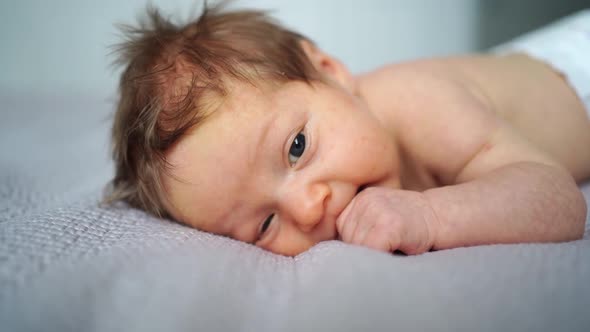 a Newborn Baby Lies on the Bed and Holds His Hand in His Mouth