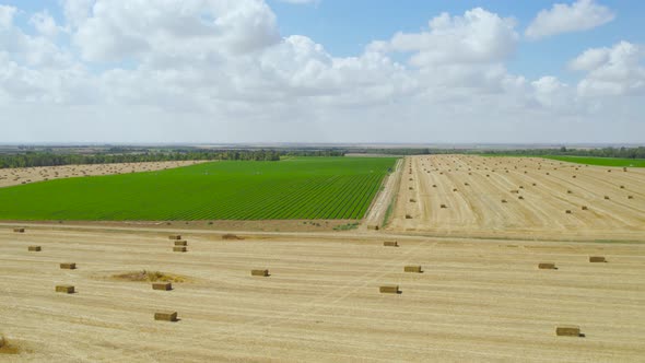 Straw Fields at Alumim, sDOT nEGEV , iSRAEL