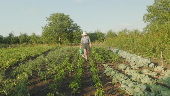 woman farmer walkinfg inspects the gatden. Girl holds watering can in hands for plants.