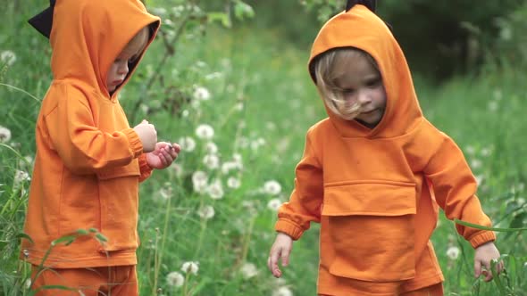 Little Twin Boys in Bright Orange Hoodies Walk in Nature, Slow Motion