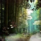 Enchanted Forest 03 - VideoHive Item for Sale