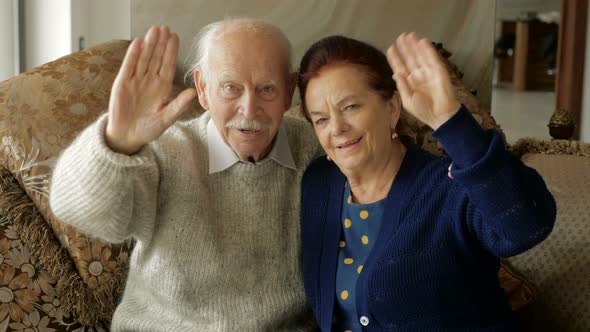 Elderly pretty lively couple sitting on couch records video message