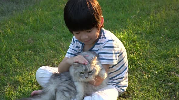 Cute Asian Child Playing With Persian Cat In The Park Outdoor