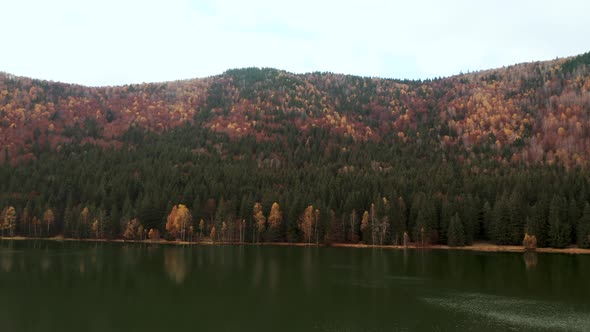 Thick Vegetation At The Shore Of The Crater Lake Sfanta Ana During Autumn Season In Harghita County,