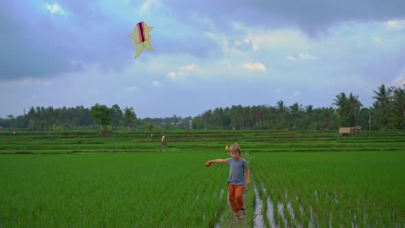 Slowmotion Shot of a Little Boy with a Kite Walking Through a Big Beautiful Rice Field