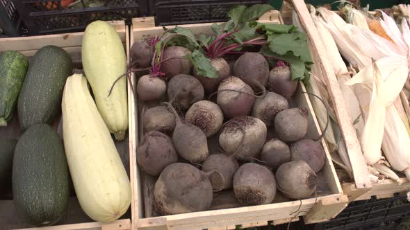 Vegetables on the Market Counter.