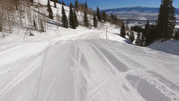 Group of Fun People Skiing Downhill on Beautiful Snowy Mountain in Forest Landscape. Winter Sports