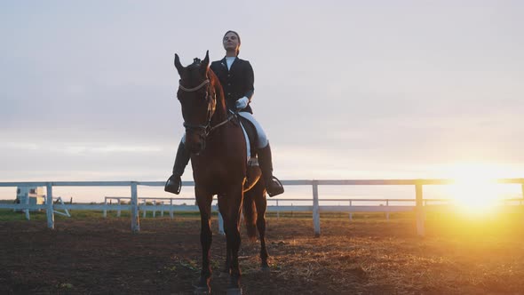 Girl Sitting Straight On The Back Of A Dark Bay Horse In The Sandy Arena  Sunset