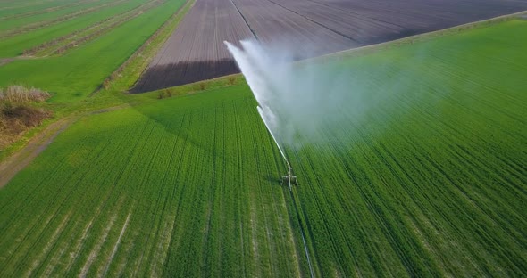 A Jet of Water is Sprayed on the Green Field