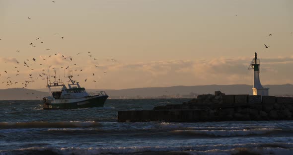 fishing boats coming back to the harbour at sunset, Grau du Roi, France