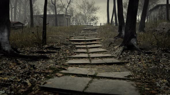 Old Abandoned Garages in the Forest