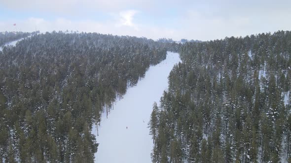 winter ski forest