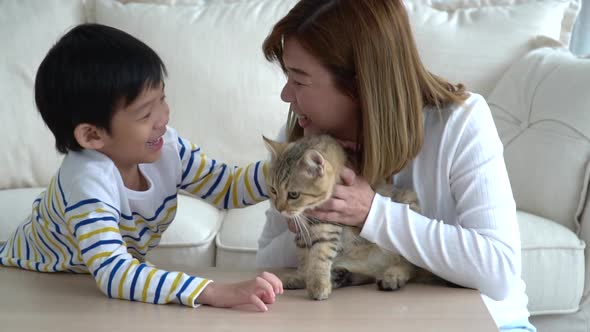 Asian Mother And Her Son Playing With British Cat In Living Room