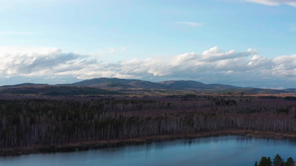 Aerial View of the Natural Landscape Forest on the Lake Shore at Sunset