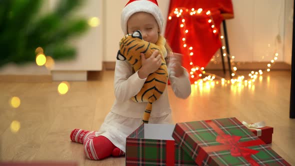 Girl Opens Gift Box and Gets Out Toy Tiger on Background of Christmas Tree