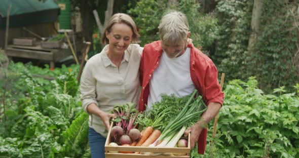 Smiling senior caucasian couple walking with basket of vegetables in garden