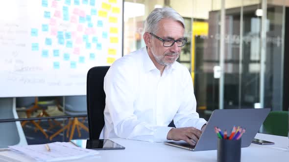 Mature businessman sitting in office typing on laptop