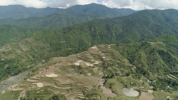 Rice Terraces in the Mountains