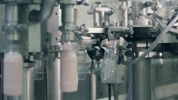 Bottles Filled with Milk Product, Yogurt at a Factory. Food Packaging Process at a Food Factory