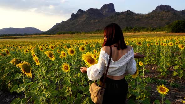 slow-motion of cheerful woman walking and enjoying with sunflower field at Kao Jeen Lae