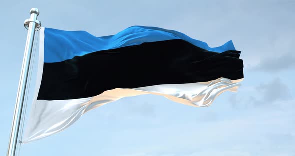 Estonia  Flag Waving  Loop  4 K