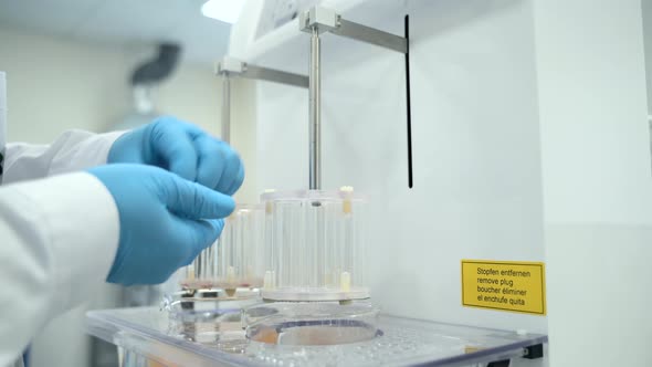 Professional Scientist Worker Making Tablet Dissolution Test