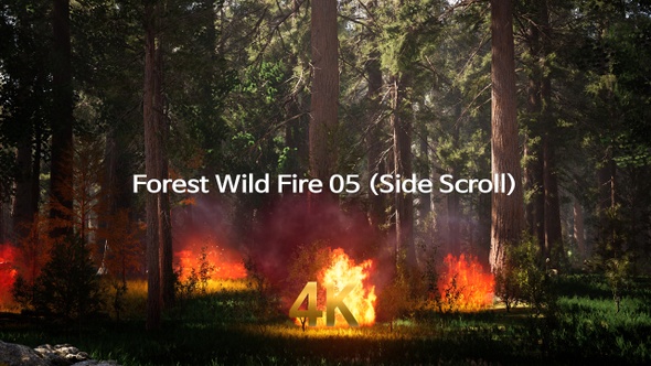 Forest Wild Fire 4K 05(Side Scroll)