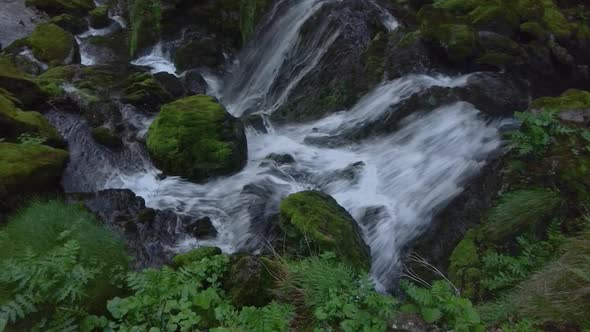 Waterfalls And Jumps In A Forest Stream
