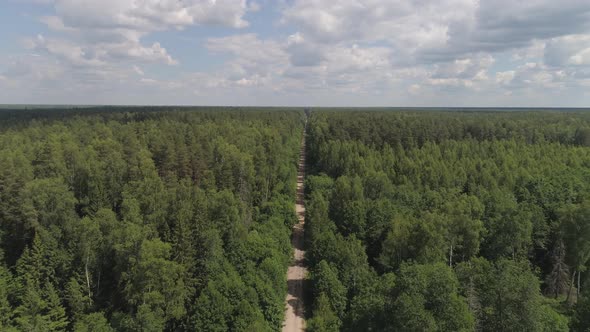 Flight Over the Green Forest.