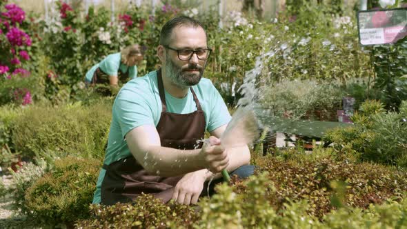 Greenhouse or Florist Shop Owner Splashing Water on Plants