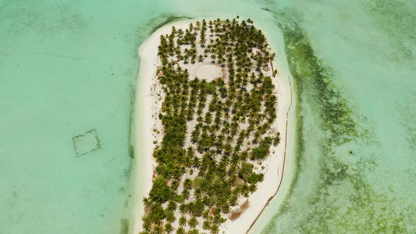 Tropical Island with a Beach on the Atoll