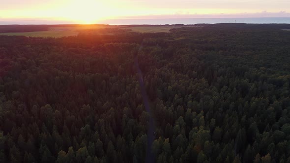 Aerial view of a road in the middle of the nordic pines forest on the sunset in Estonia.