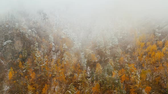 Amazing snowy forest valley Foggy landscape Eastern Sayan Siberia Buryatia Arshan