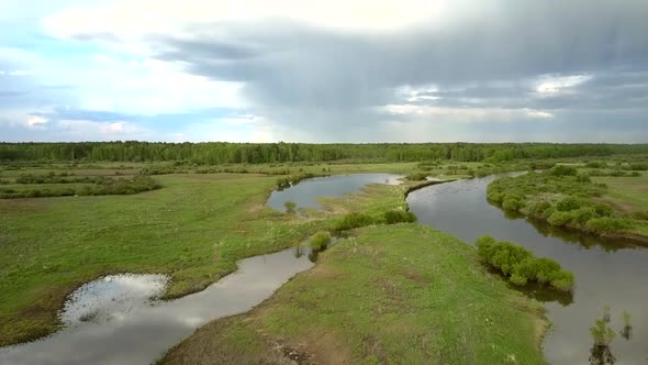 Wonderful Meadows and Trees in Lake Water After Flooding