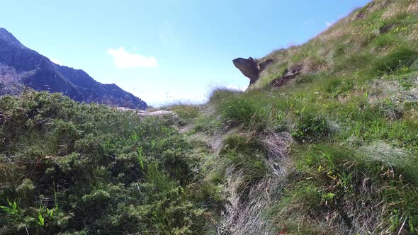 Hiking Walking Trekking Outdoors on Mountain