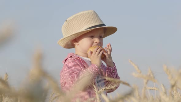 Happy Little Toddler in Hat Eats Bread While Standing in Wheat Field at Sunset. Summer Country Life