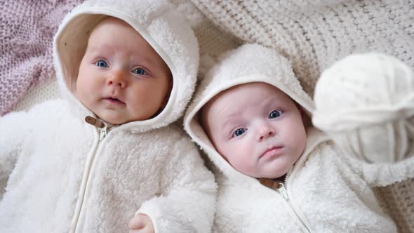Two Twin Babies, Four Months Old Girls In Bed On Cosy Knit Blanket.