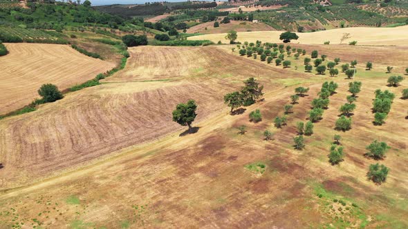 Tuscan Countryside Shot with Drone at Summer Time