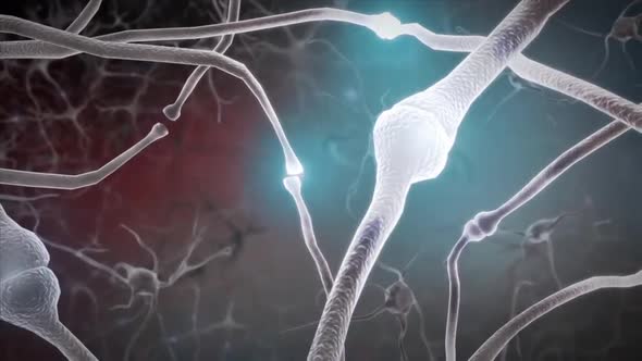 Intro Brain Impulses. Neuron System. Transferring Pulses And Generating