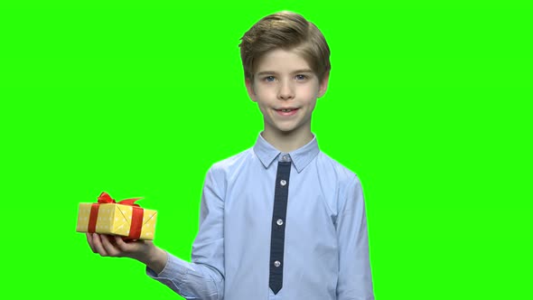 Cute Child Boy Pointing at Gift Box