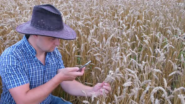 A young farmer, holding spikelets in his hands, rejoices in a good harvest.