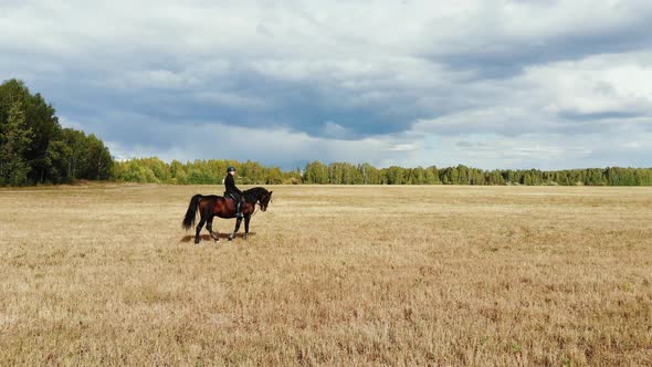 Young Woman Horse Rider Slowly Walks with Horse in the Field at Farmland