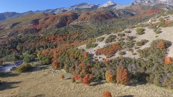 A drone captures aerial footage of an alpine meadow in the fall as tree leaves change color into bri