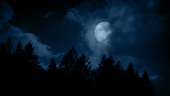 Large Full Moon Above The Forest